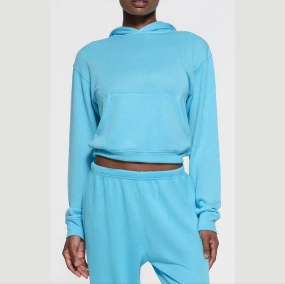 SKIMS Tops - Skims French Terry Modal Classic Hoodie In Cyan Size S Nwot